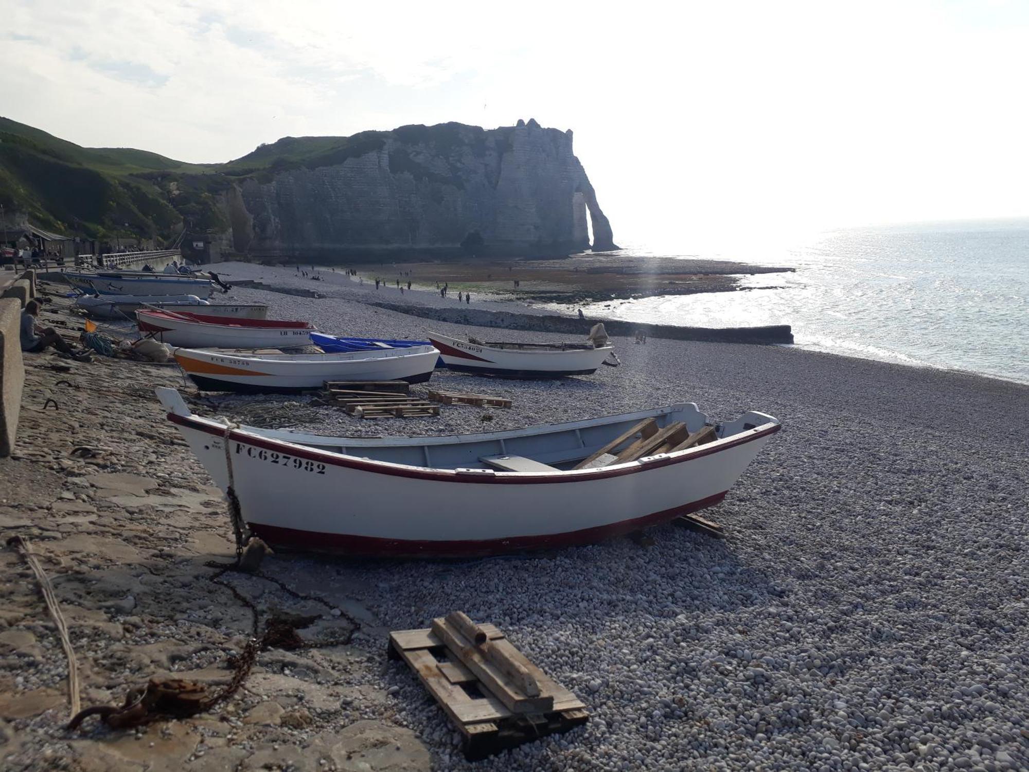 "L'Aiguille Creuse" - Tres Lumineux A 50M De La Mer - 40M2 - 6Max Etretat Bagian luar foto